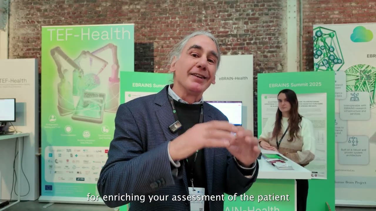 eBRAIN-Health - Virtual Brain model