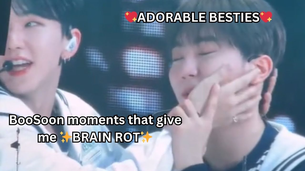 BooSoon moments that give me ✨Brain Rot✨(a.k.a my adorkable cuties😘) #seventeen #hoshi #seungkwan