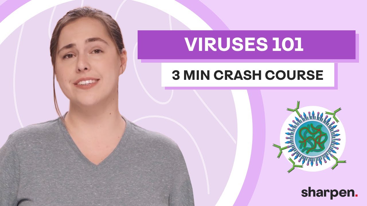 Viruses 101 | 3 Minute Crash Course