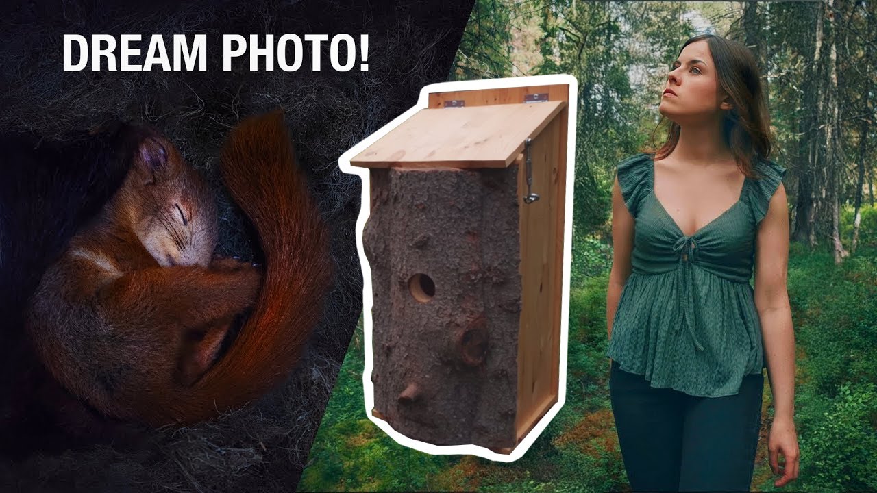 I made a Squirrel Hotel to photograph Sleeping Squirrels