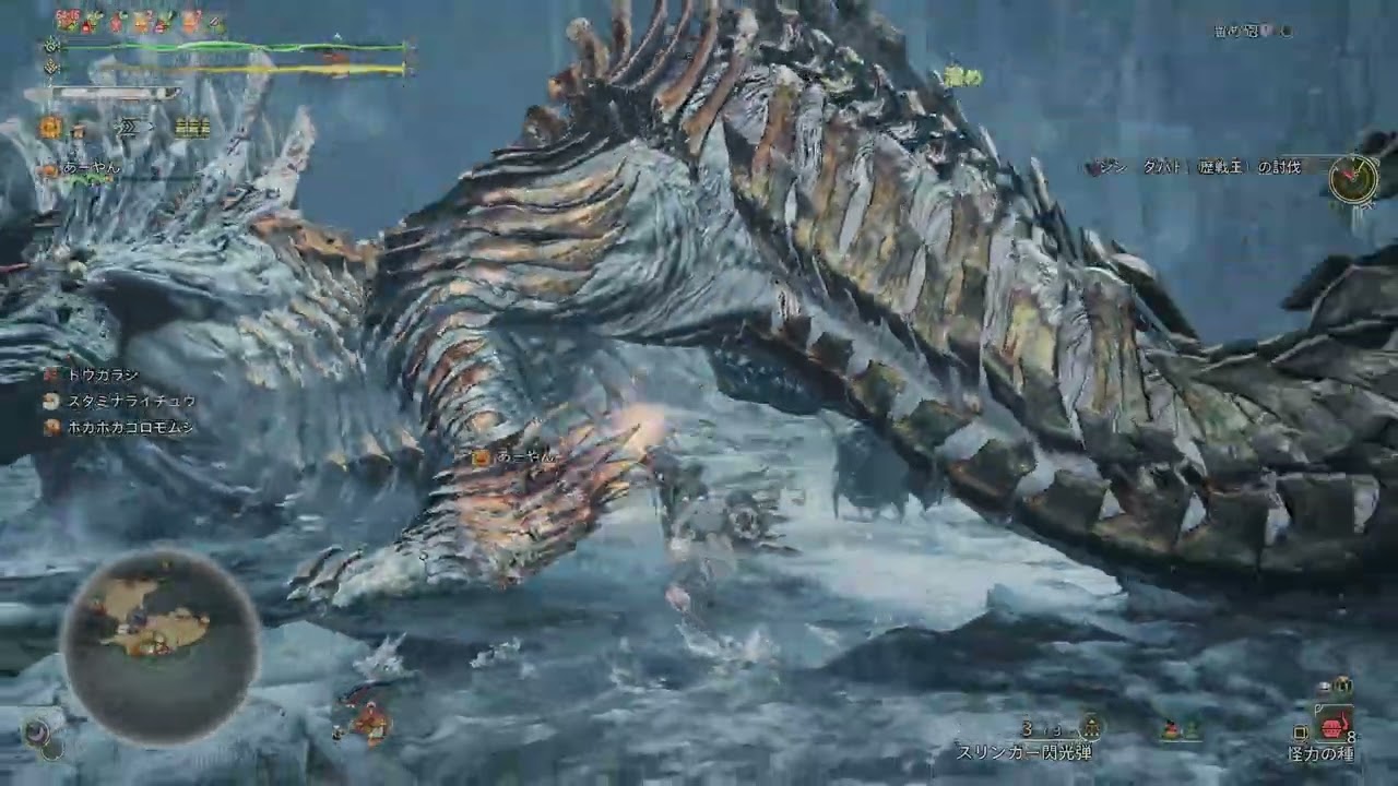 Monster Hunter Wilds ep.306