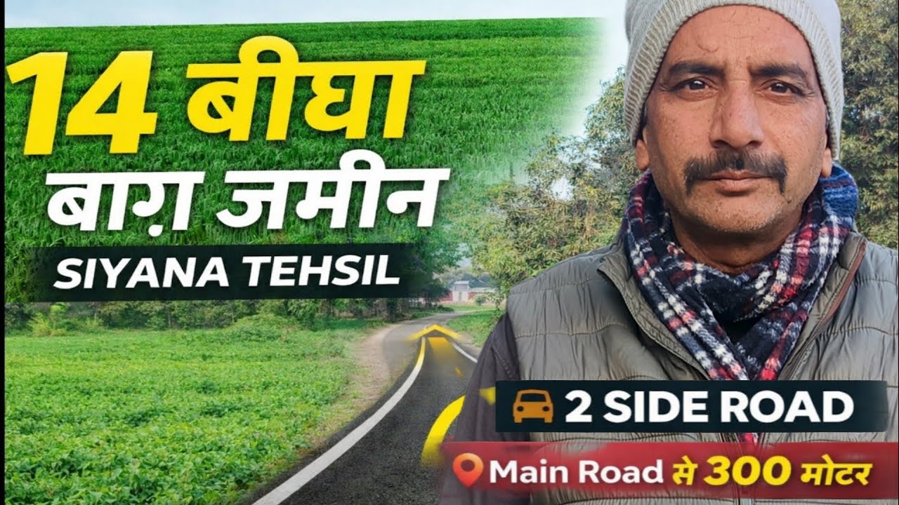 Siyana Tehsil में 14 बीघा बाग़ा जमीन | 2 साइड रोड | मेन रोड से सिर्फ 300 मीटर