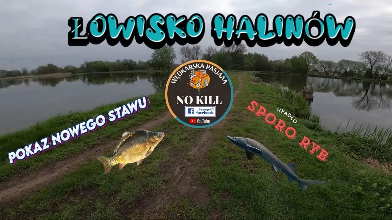 ŁOWISKO HALIN&Oacute;W PO ZMIANACH 🐟RYBY DOPISAŁY🐟  4K