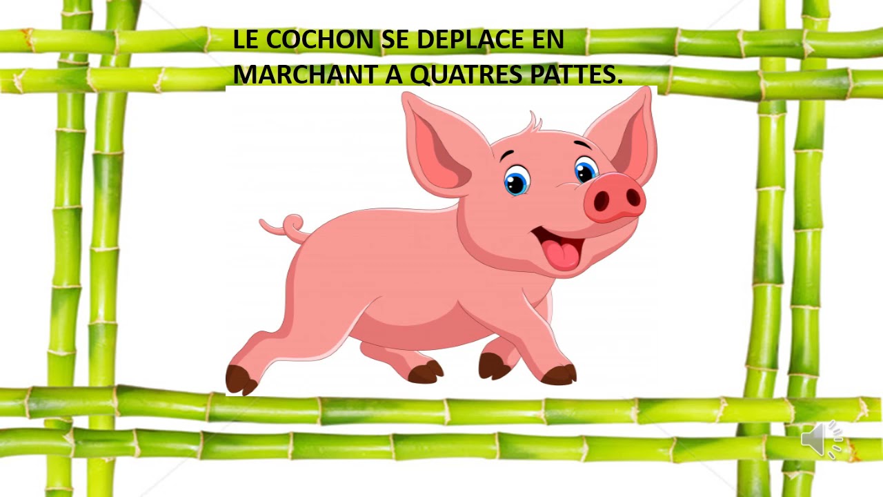 Découvrir la porcherie