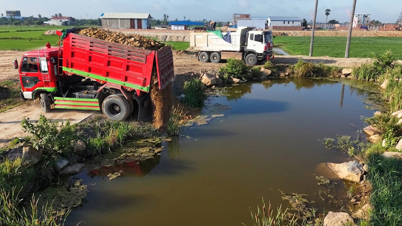 Nicely Job Fill flooded land Using Skillful 10-wheel Trucks With Expert D31P Bulldozer Pushing Soil 