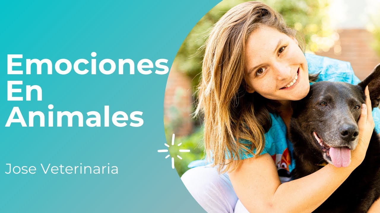 EMOCIONES EN ANIMALES - JOSE VETERINARIA TIPS