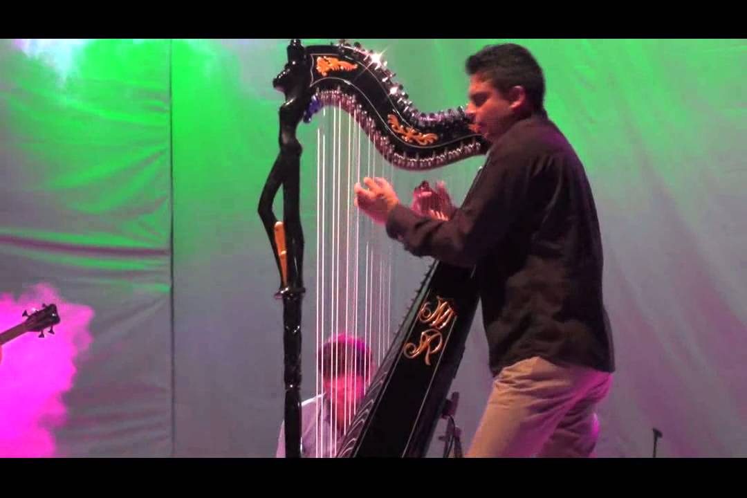Marcelo Rojas - Festival Internacional Arpas al Sur de Chile 2015