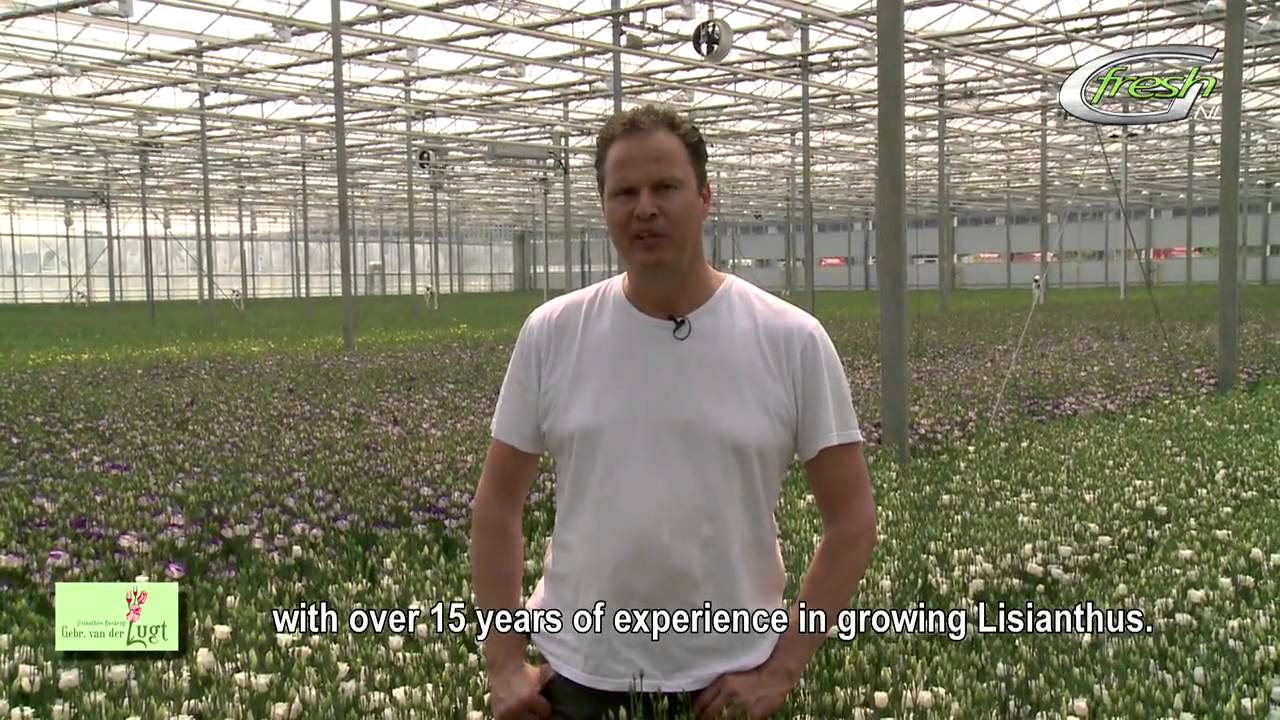 Gebr. van der Lugt (english subtitles)