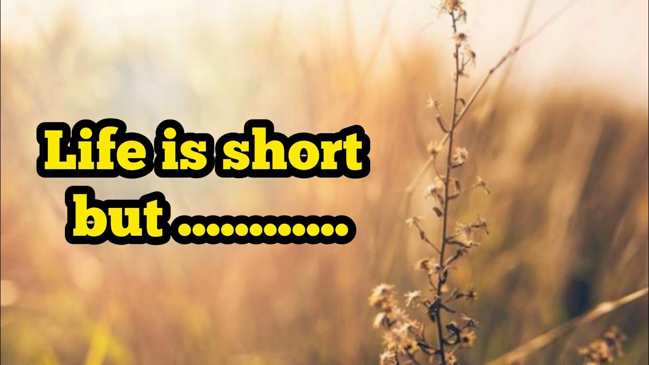 Deep messages about life | life Quotes