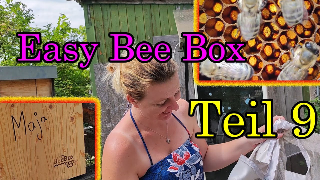 Easy Bee Box Teil 9