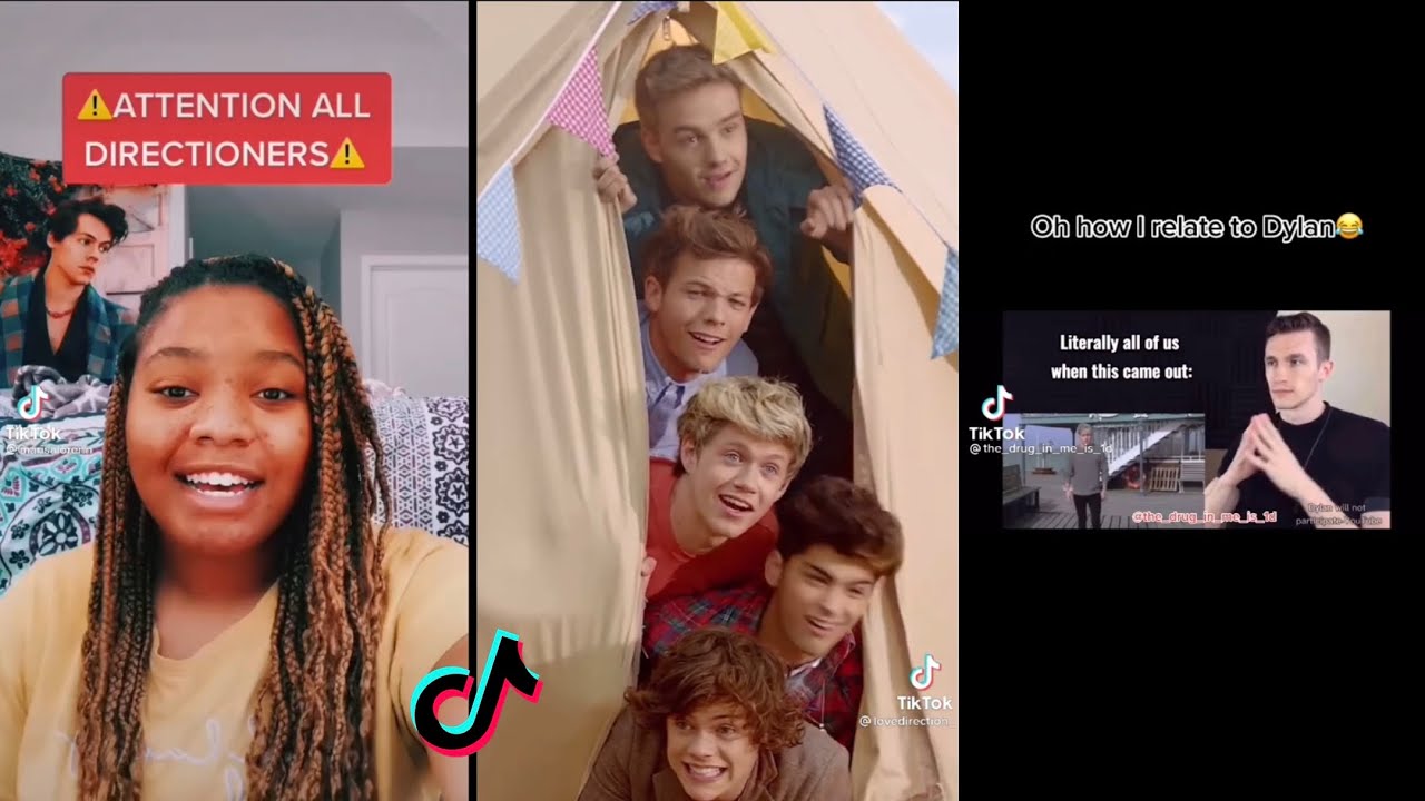 One Direction/Larry tiktoks to watch at 3:00am