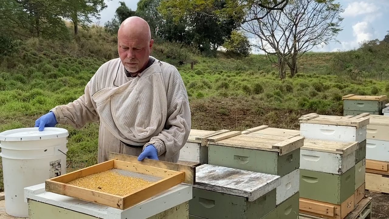 Honey University: Collecting Organic Bee Pollen