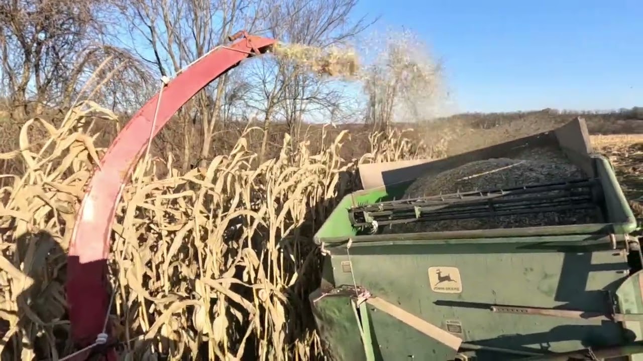 David Brown 1210 Chopping Corn