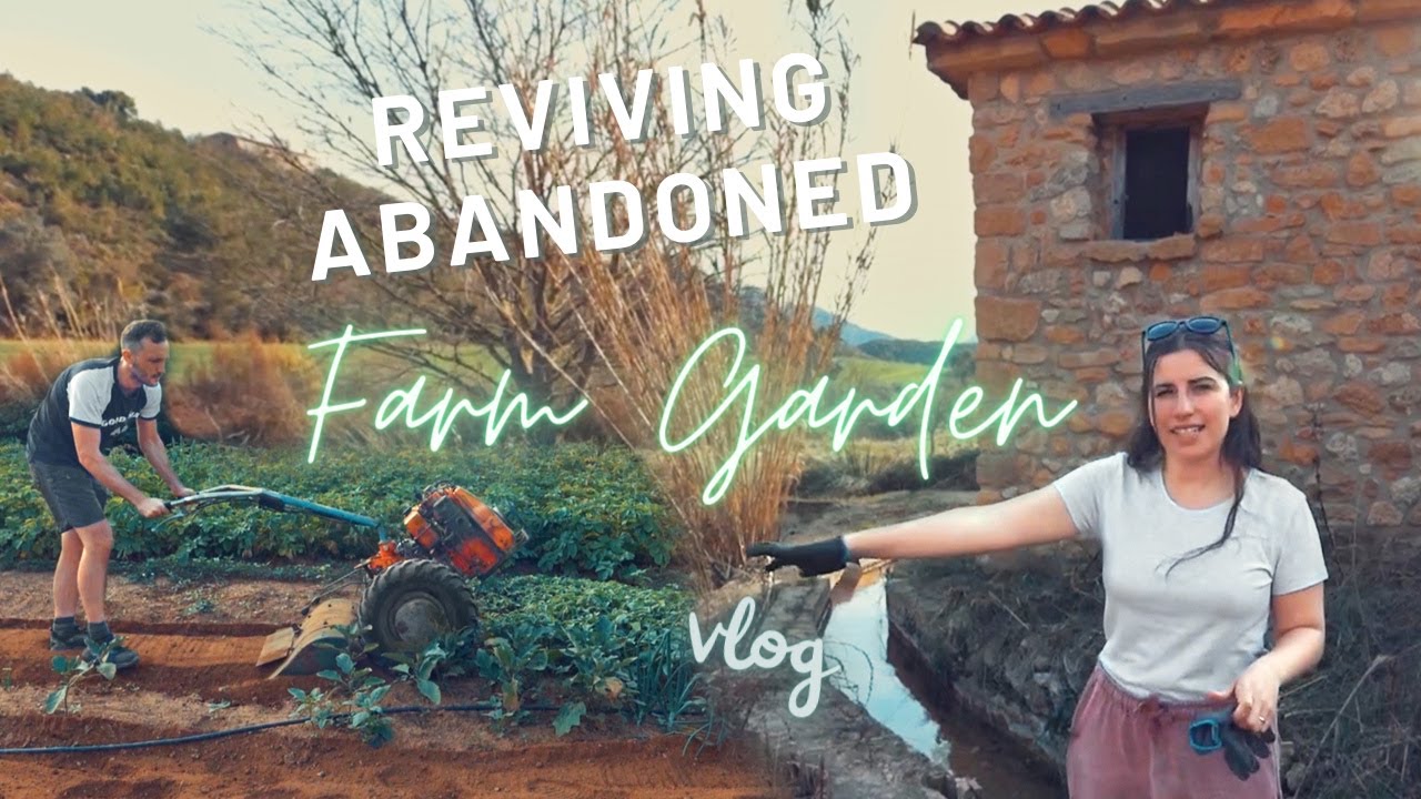 Growing our own vegetal garden - Restoring an old farm field -  Three Under the Rain vlog
