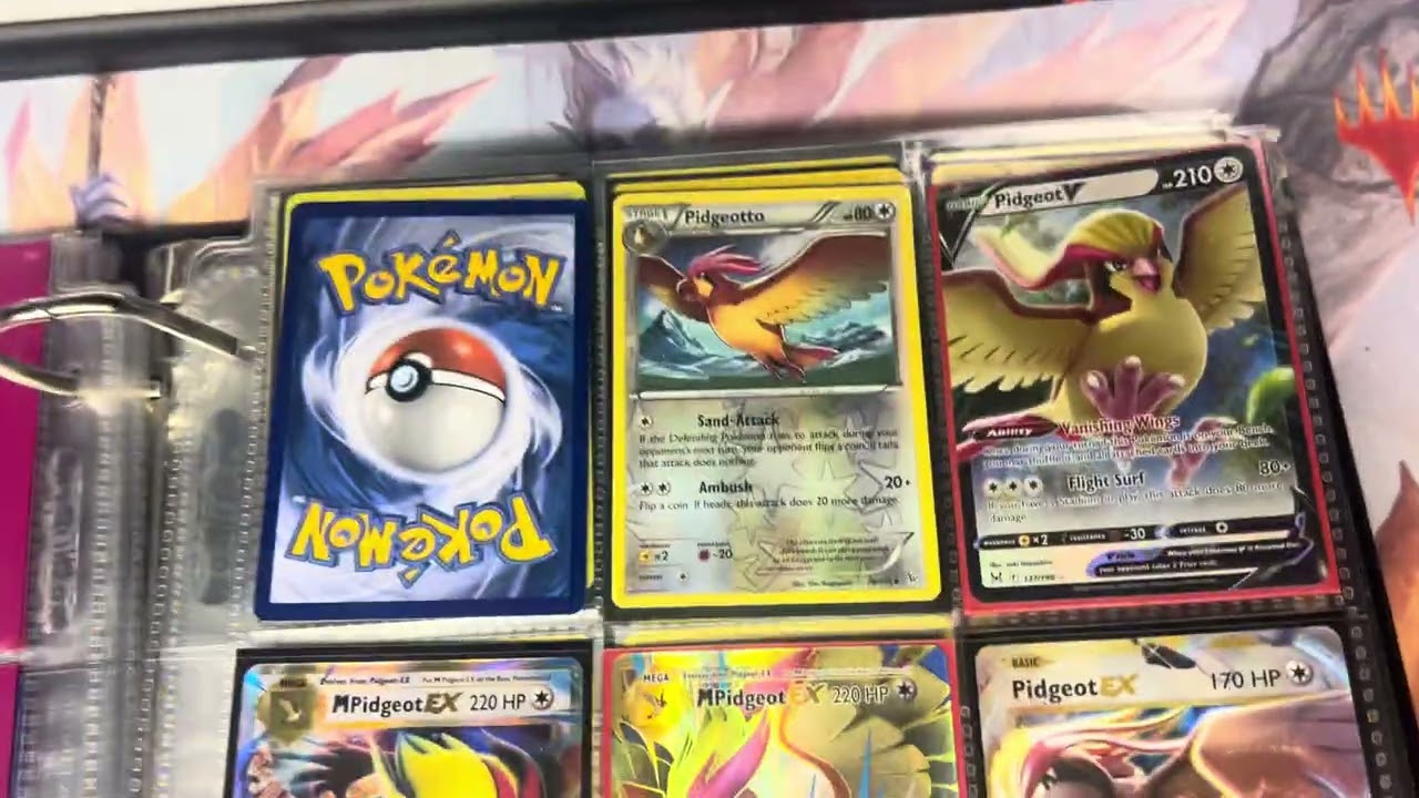 vinssica101 Shows Normal Pokemon Binder!!