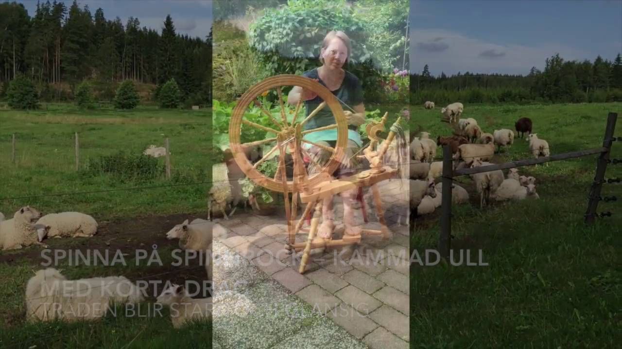 Slow fashion – från får till tröja