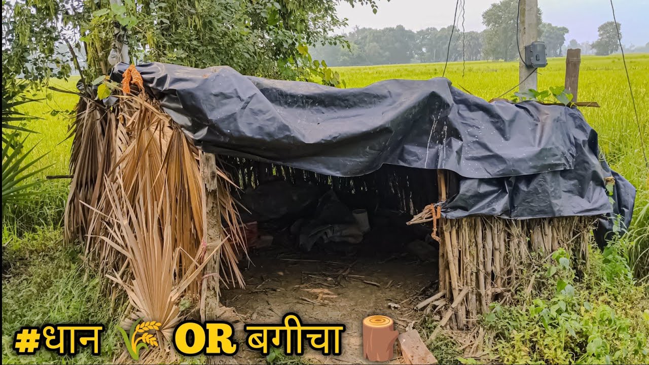 Gaon ka Khet, Bagicha aur Sukoon Bhari Zindagi । Nature Lover Must Watch 🌾