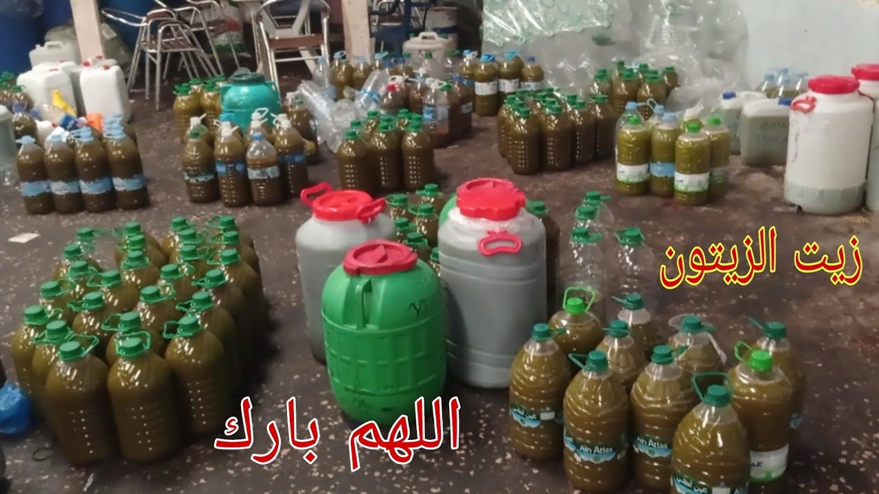 مطحنه الزيتون في إمزورن إقليم الحسيمة #الزيتون