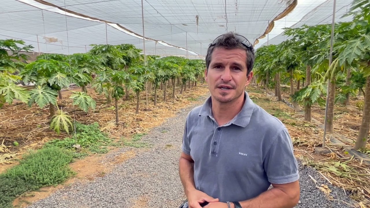 5   Agricultura Ecológica GRAN ECO
