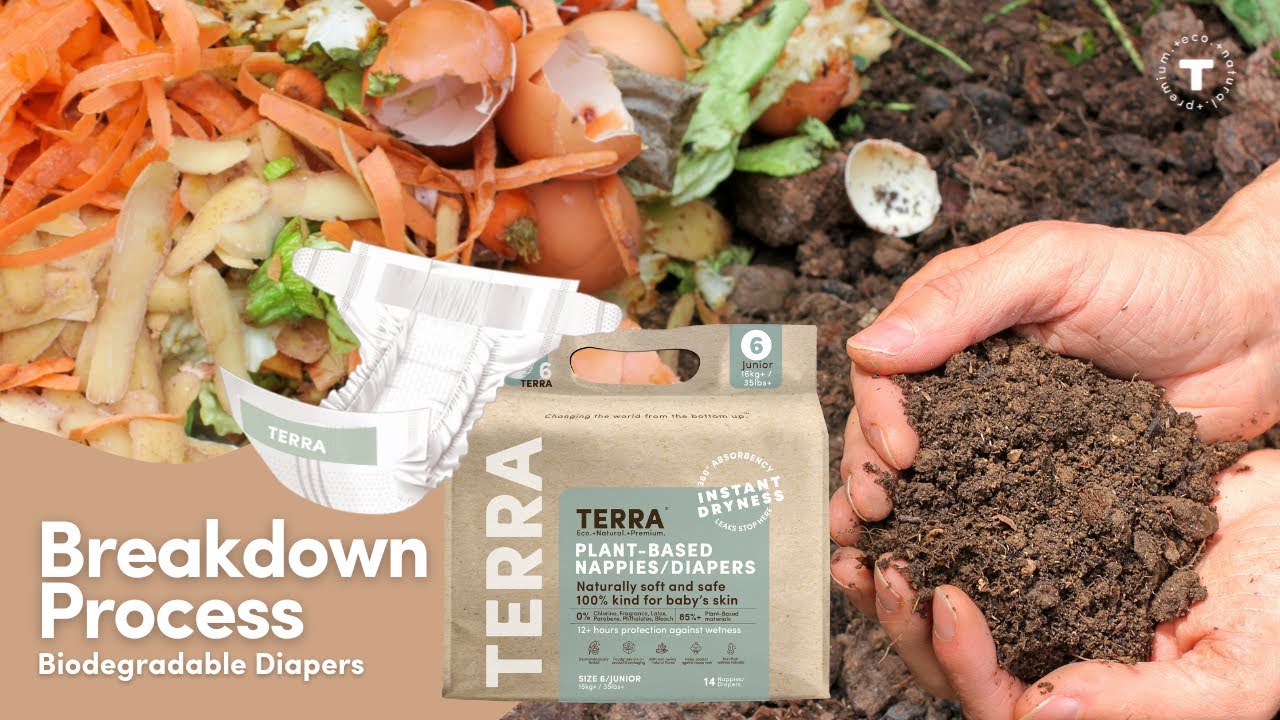 Breakdown Process TERRA Biodegradable Diapers