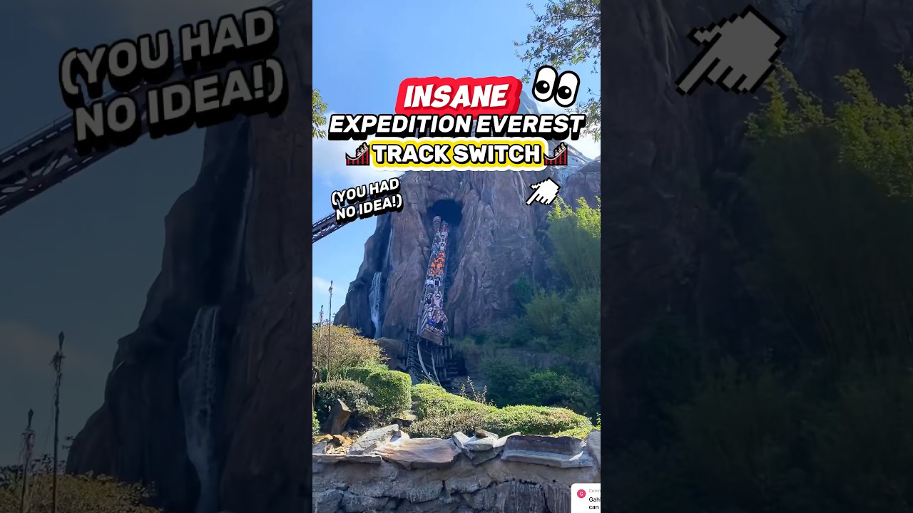 INSANE Coaster Track Switch on Expedition Everest 😮🎢 (Did You Know This?!)