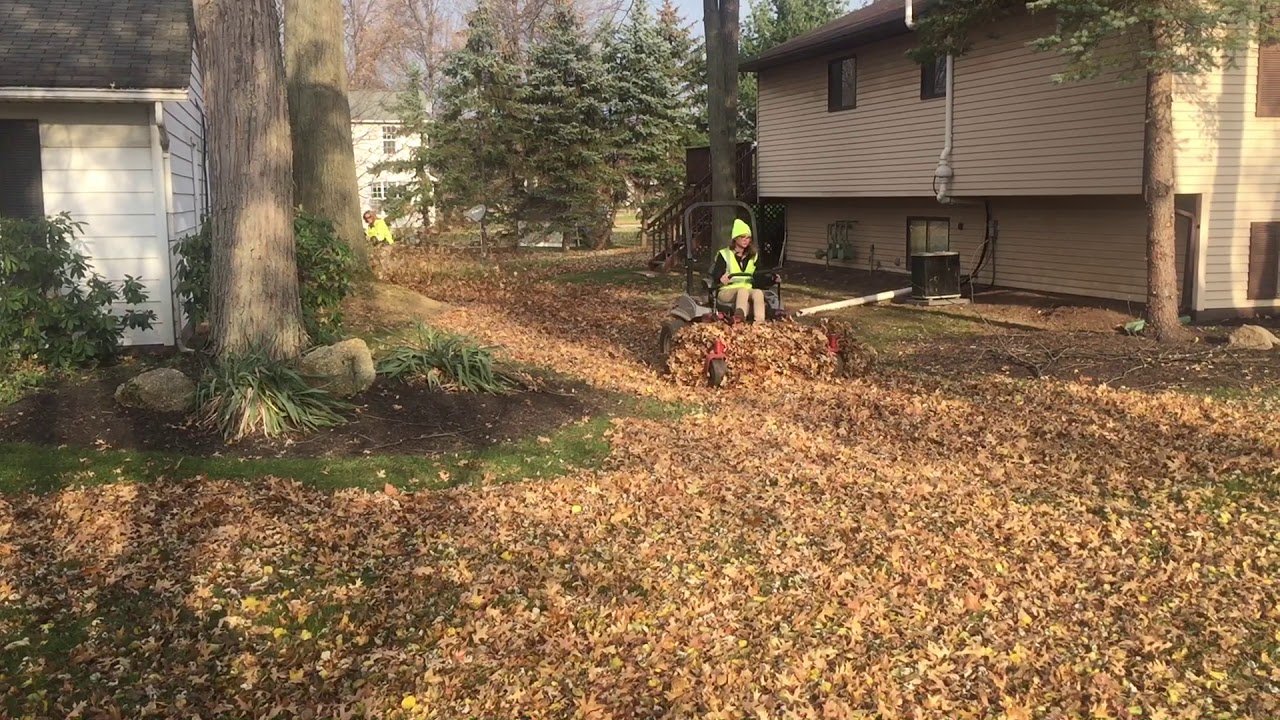 Pushing leaves with mower from back yard to street piles