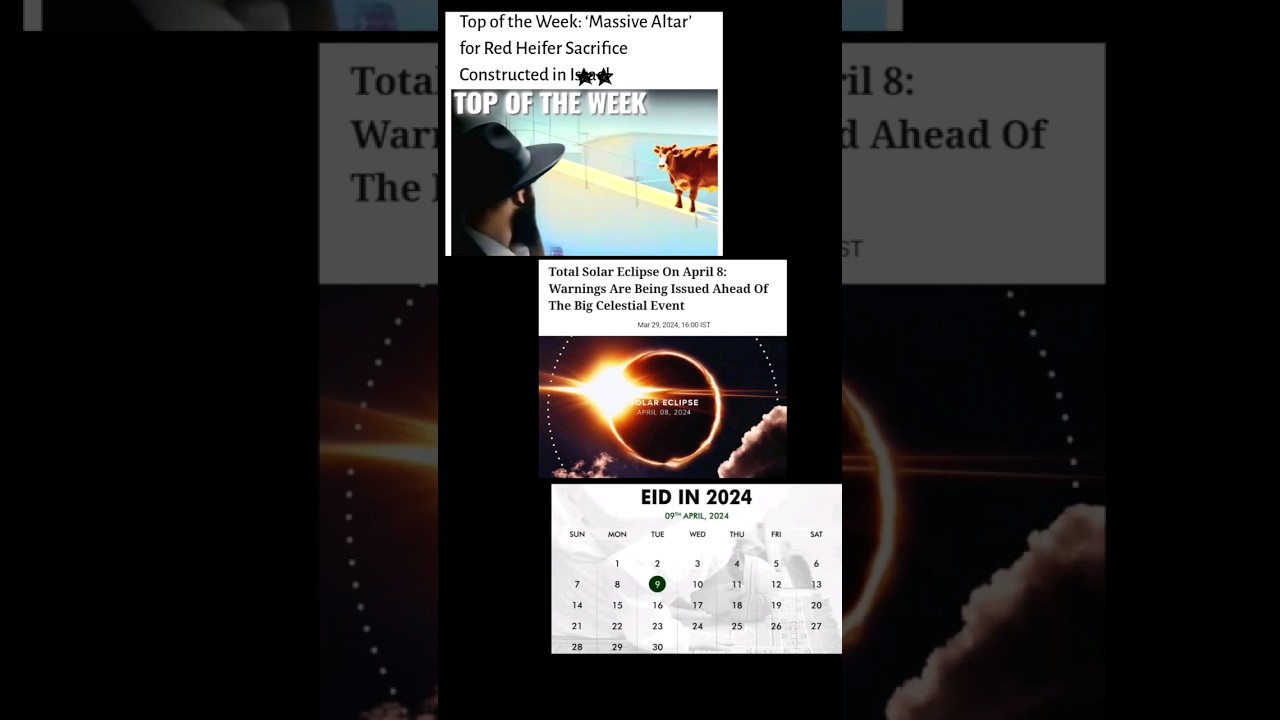Red heifer sacrifice 2024 #worldwithmaria #redheifer #armageddon #trending #sacrifice