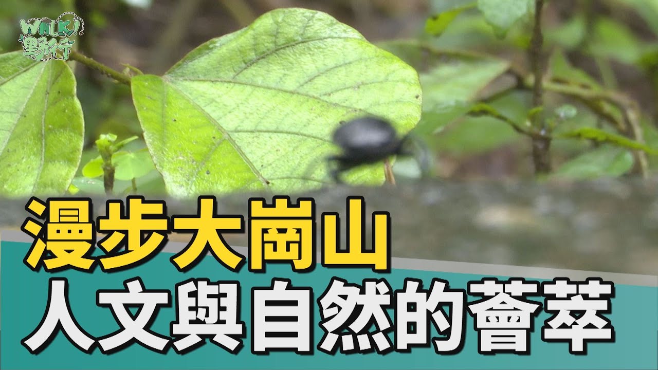 Walk野行｜漫步大崗山&mdash;人文與自然的薈萃