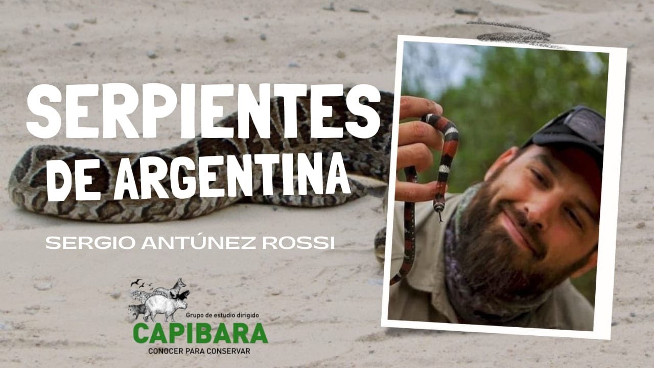 Serpientes de Argentina