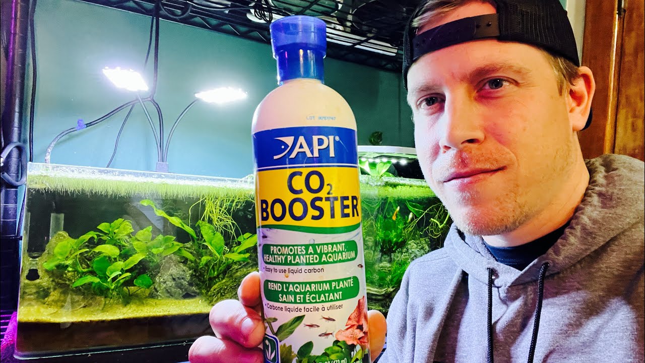 Работает ли жидкий усилитель CO2? Усилитель API CO2