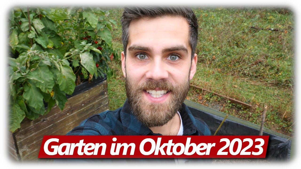 Gartenrundgang Oktober | Knoblauch, Chili, Physalis, Salat | Gemüsegarten mit Hochbeeten