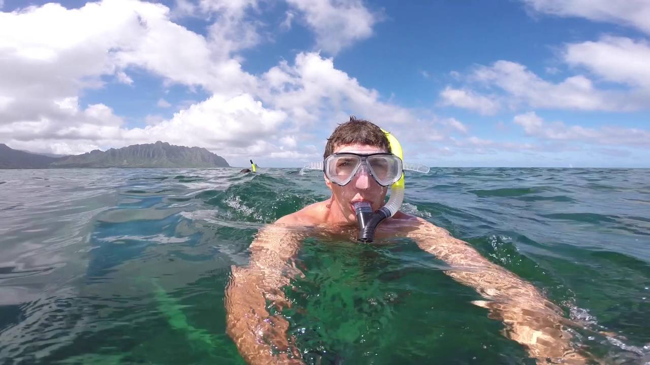 Snorkeling with manta rays in Kaneohe Bay