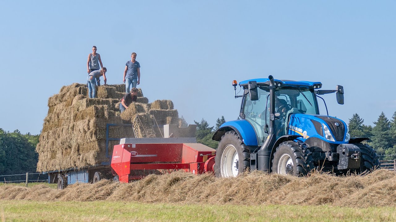 New Holland T6.145 with Lely Welger AP 730 | Baling small hay bales