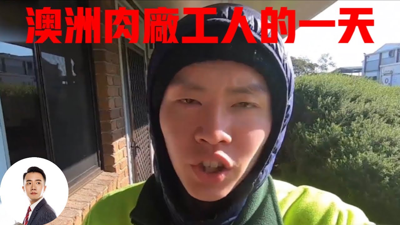 澳洲时薪117人民币的肉厂工人，天没亮就要去上班，一天能有多辛苦？#Bob Talk 20230912第241期