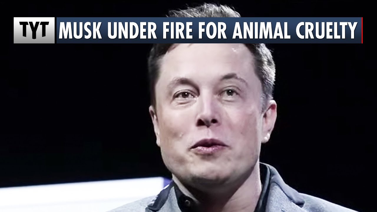 Испытания Neuralink Илона Маска прошли УЖАСНО неправильно