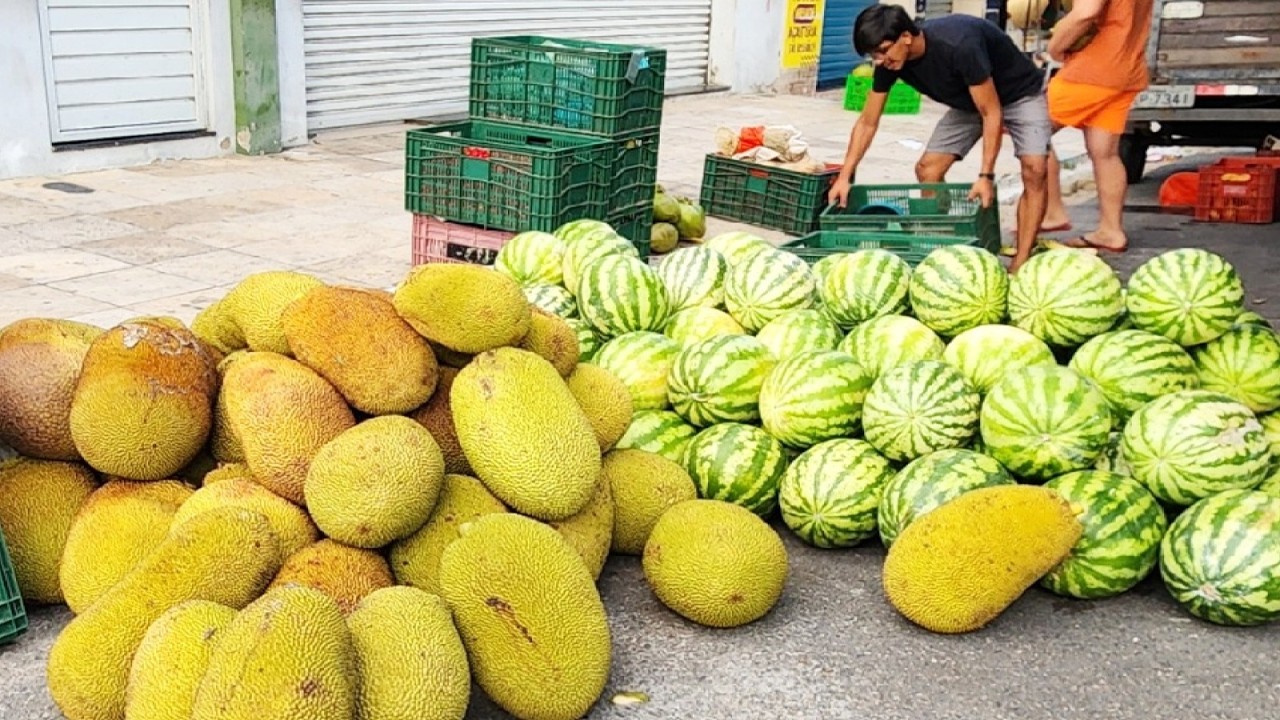 JACA COM FORÇA EM PANELAS-PE. ISTO É NORDESTE!!!