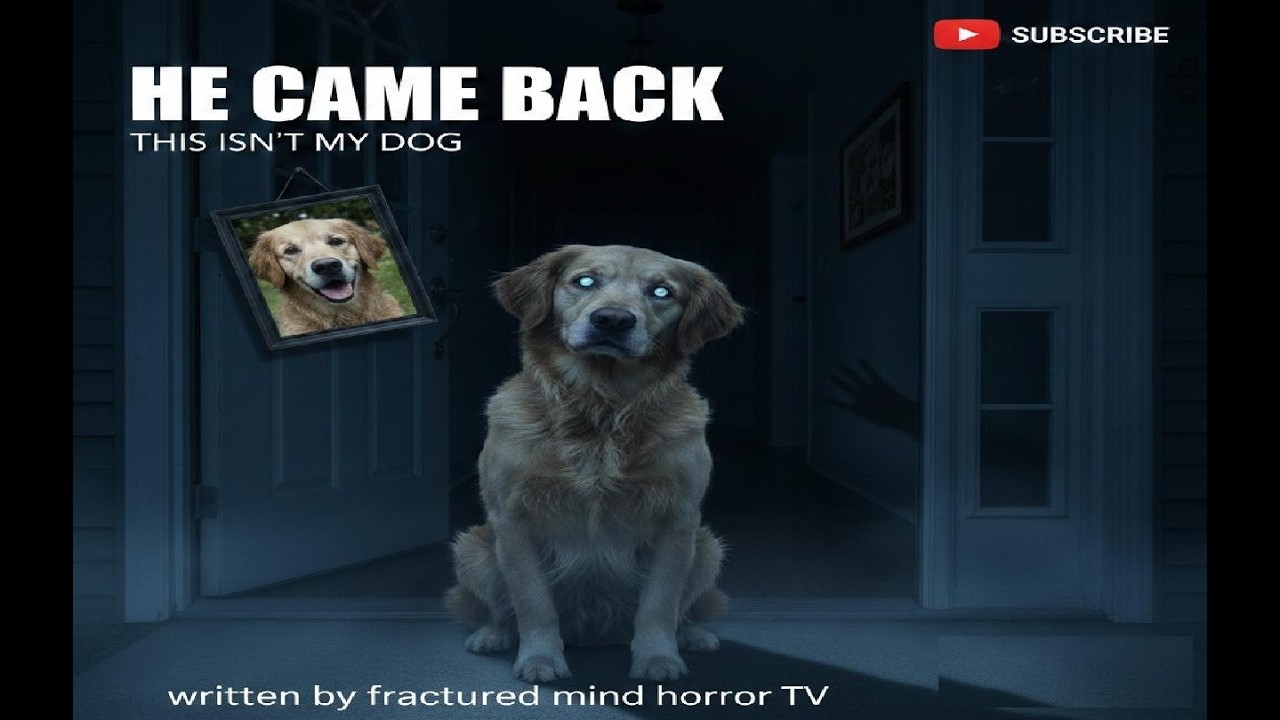 HE CAME HOME, DIFFERENT | The Dog That Returned Wasn’t My Dog