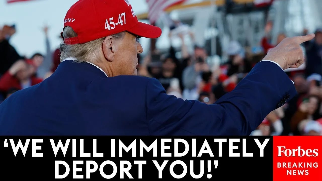 Trump Repeatedly Warns Illegal Immigrants That Historic Deportation Effort Is Coming | 2024 Rewind