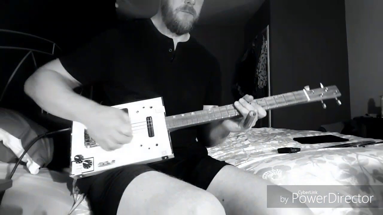 You Can't Teach An Old Dog New Tricks - Seasick Steve - Cigar Box Guitar Cover
