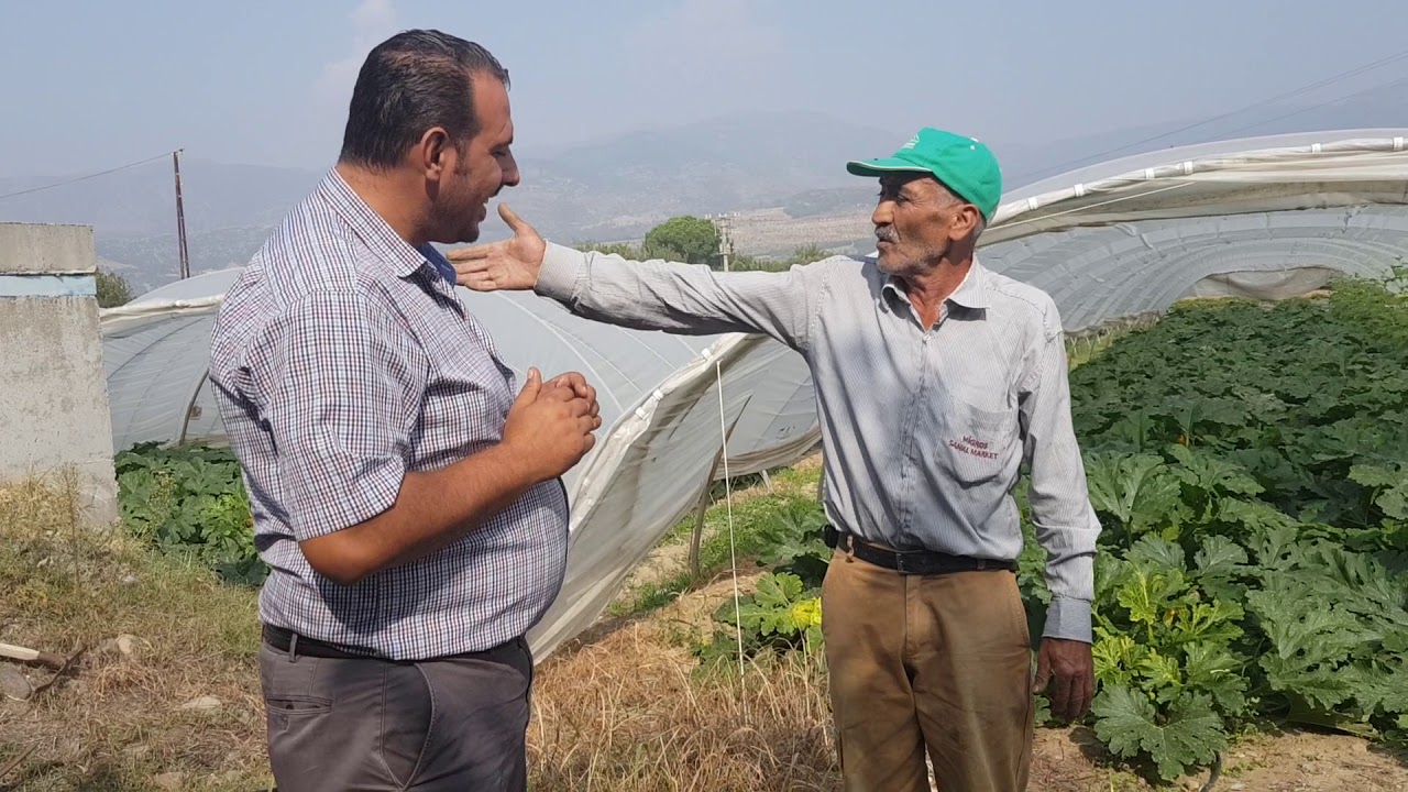 KABAKTA 43 YIL SONRA BÖYLE HASAT OLDU MUCİZE SONUÇ