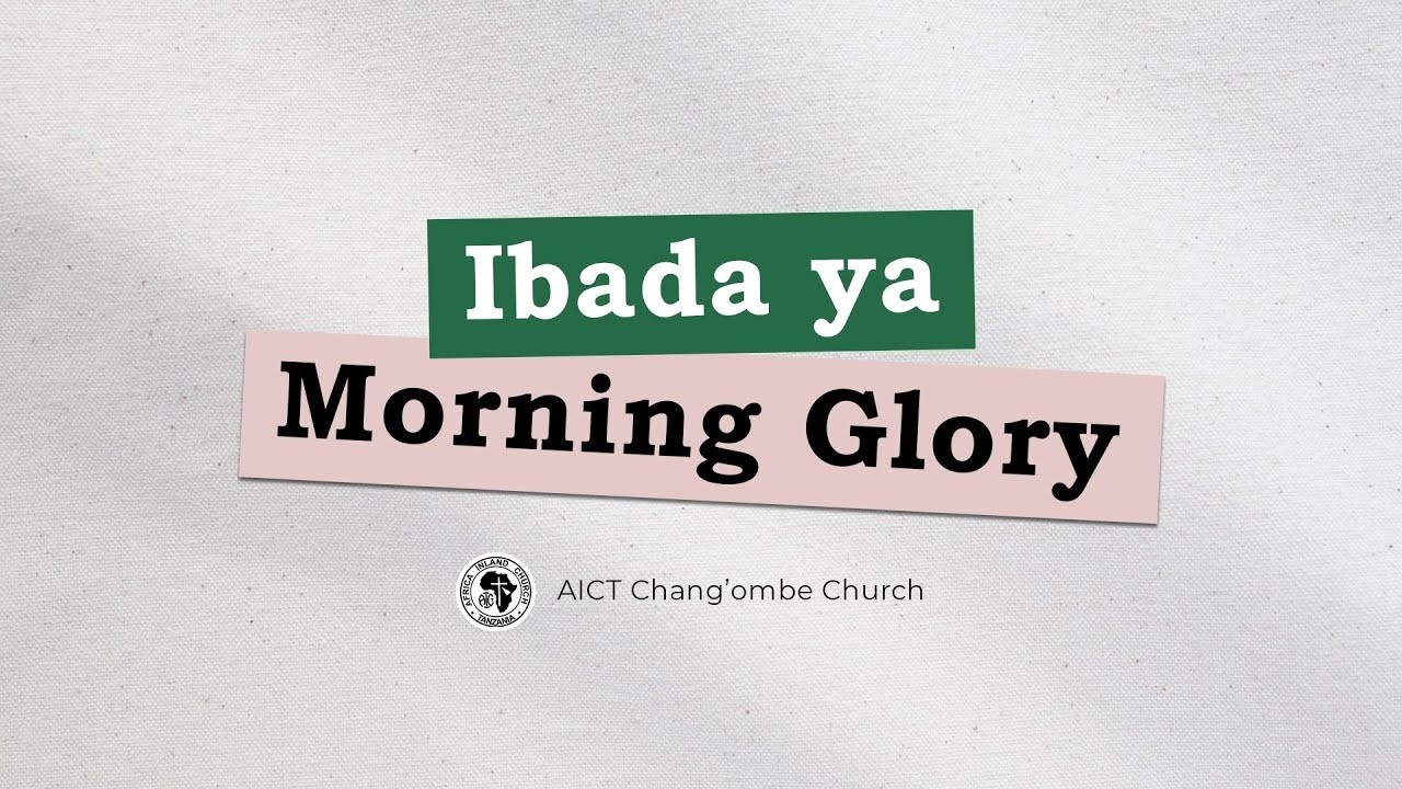 Morning Glory | February 20, 2026