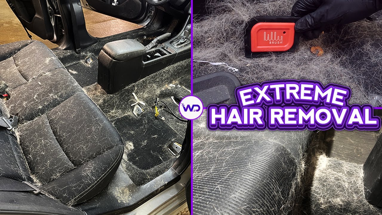 Deep Cleaning a Girl's HAIRIEST Subaru EVER | EXTREME Dog Hair Removal | Satisfying Car Detailing