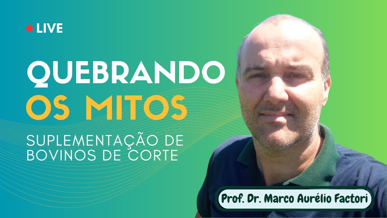 Quebrando os mitos da suplementação de Bovinos de Corte