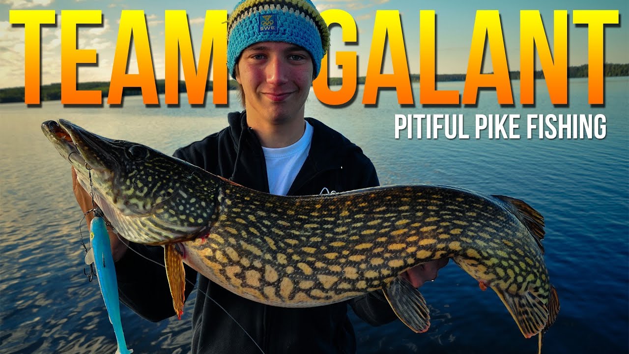 Pitiless Pike Fishing in the Summer | Team Galant (English Subtitles)