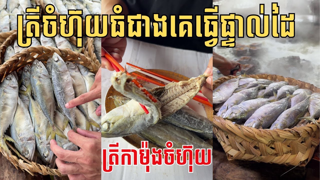 មិនដែលដឹងសោះ តាំងពីកើតមកលោកអើយ ពិតជាអស្ចារ្យមែនទែន