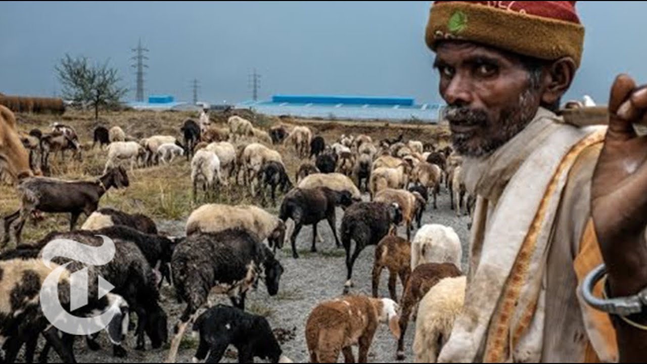 Solitude and Industry Collide Near Mumbai: India's Changing Landscape | The New York Times