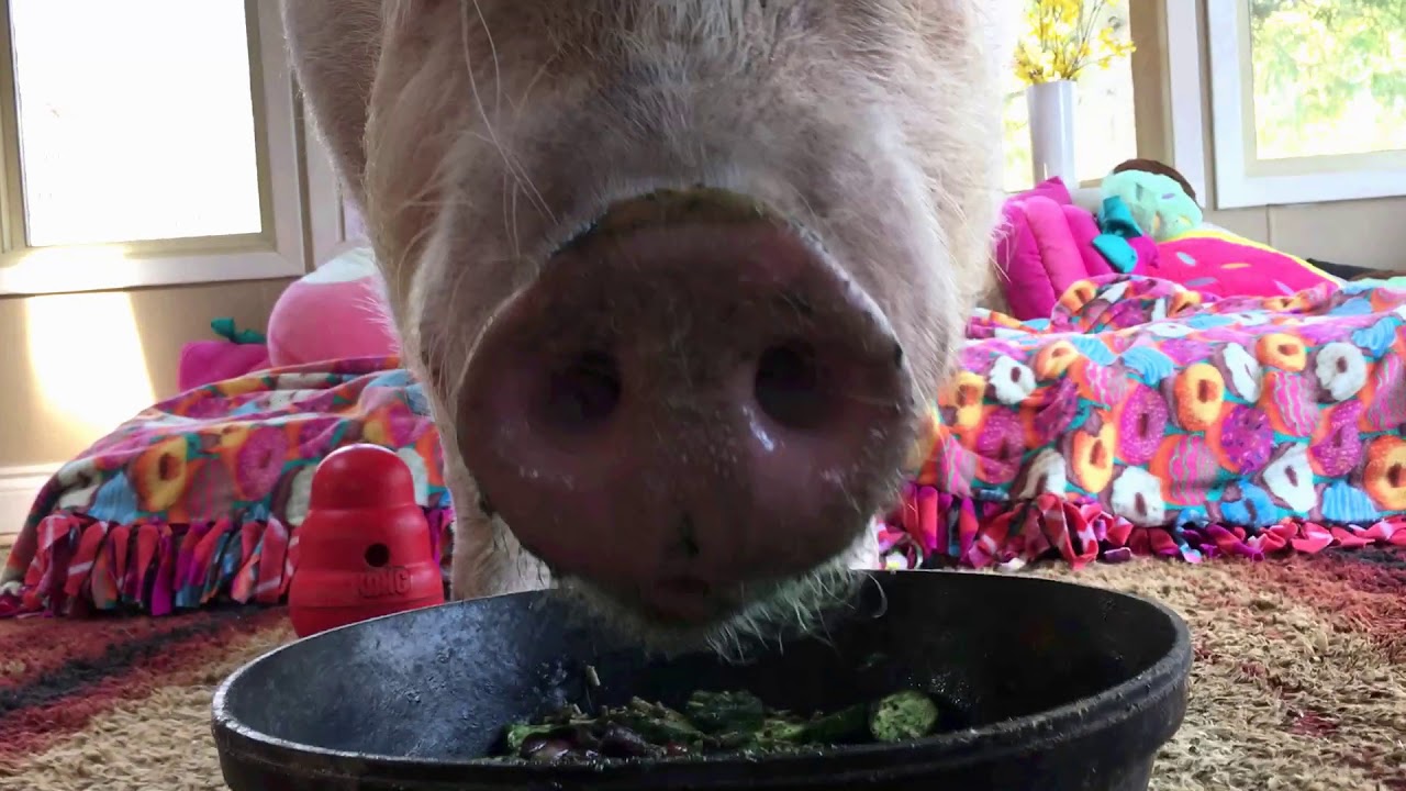 What's Cooking in Esther's Kitchen- The Queen's Dinner