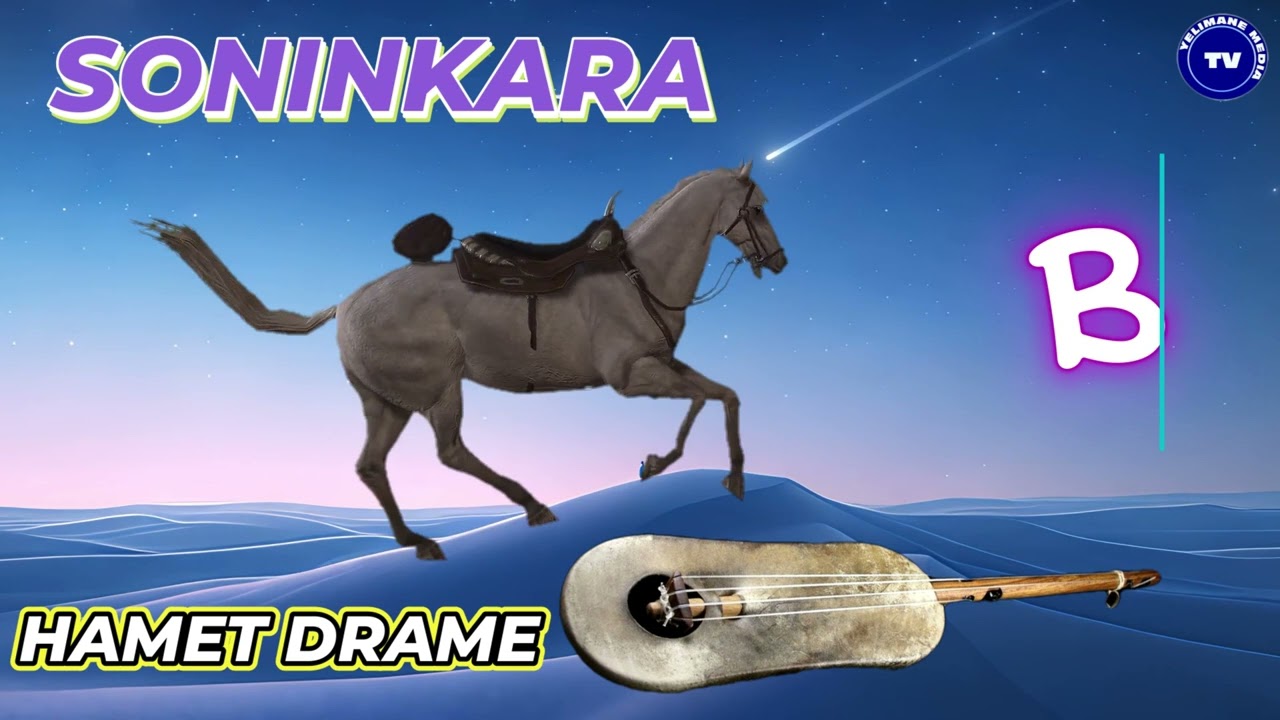 YL TV : HAMET DRAME ; ADAMA DRAME- (HISTOIRE ) (B)