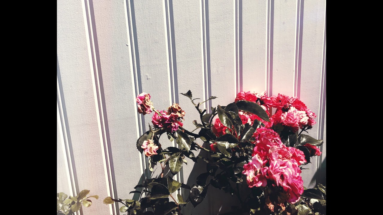 Frank Ocean Acoustic Type Beat - 