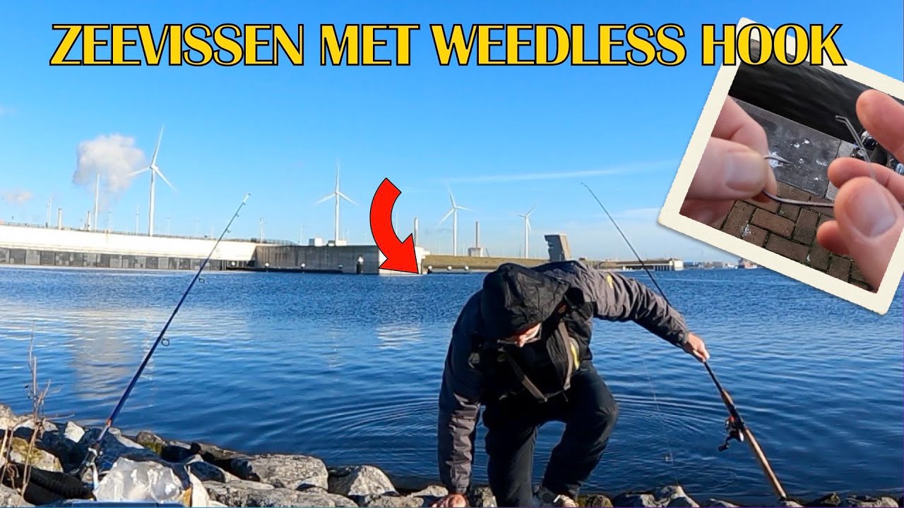Super dagje zeevissen met Dropshot montage en Weedlesshook. FishVlog #187.